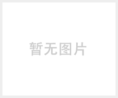 S-775高级木器漆消光粉